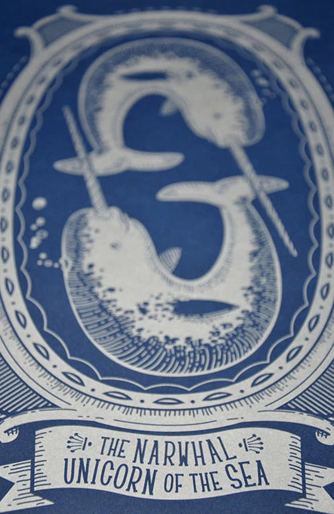 Narwhal - Unicorn of the Sea Poster