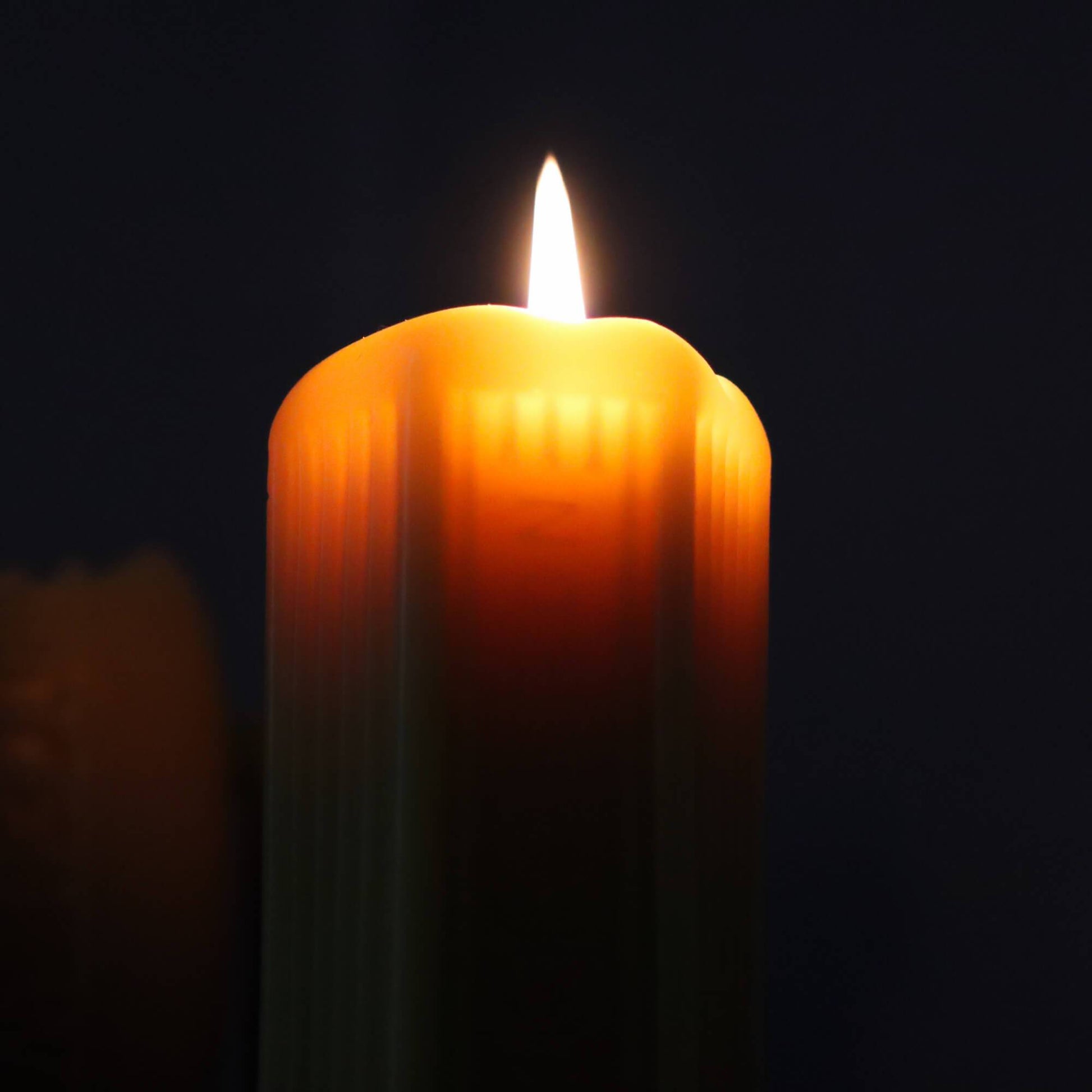 Poison Bottle Beeswax Candle by Askews Candles - Harold&Charles
