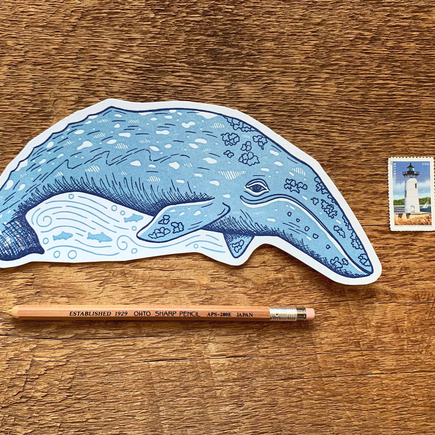 Grey Whale Postcard by Noteworthy Paper & Press - Harold&Charles