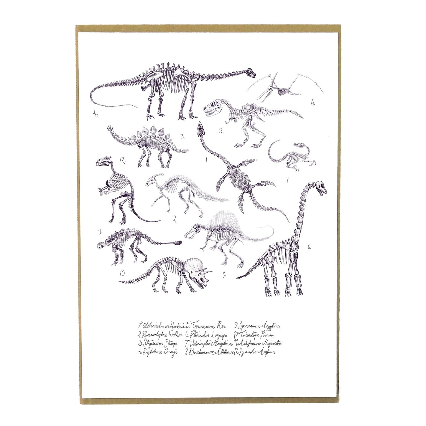 Mesozoic Dinosaur Art Print Poster | A4 unframed | Also the Bison |