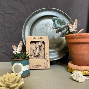 plantpot - Woods & Wilds