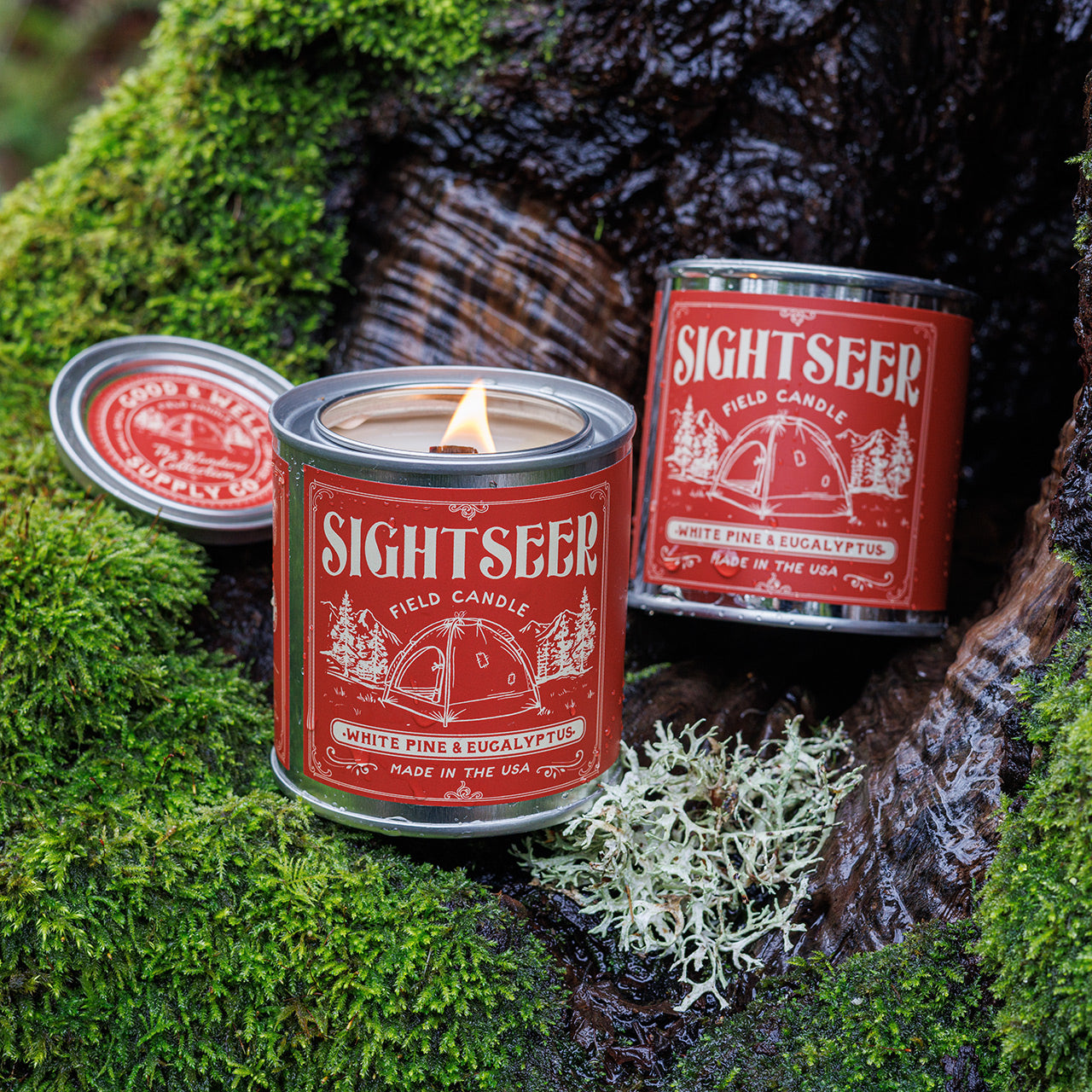 Sightseer Field Candle | White Pine & Eucalyptus Candle  | Good & Well Supply Co.