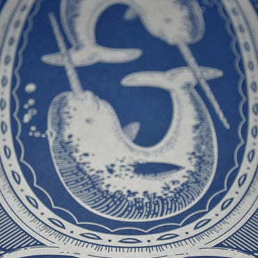 Narwhal - Unicorn of the Sea Poster