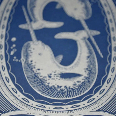 Narwhal - Unicorn of the Sea Poster